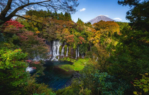 Картинка осень, лес, деревья, река, водопад, Япония, Japan, каскад