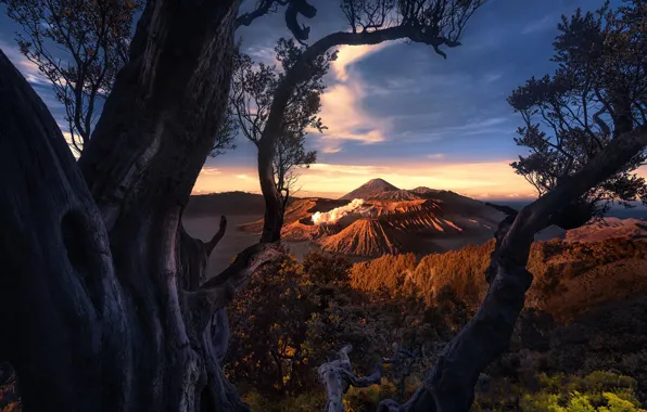 Облака, деревья, вулкан, Indonesia, Mount Bromo