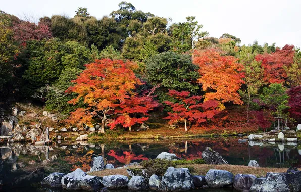 Картинка осень, деревья, озеро, Япония