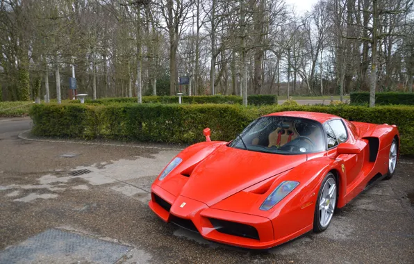 Картинка Ferrari, red, supercar, Enzo