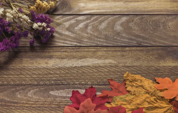 Картинка осень, листья, цветы, фон, дерево, colorful, wood, background