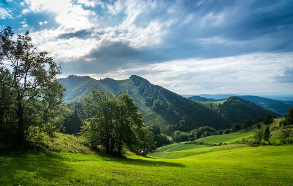 Дорога, зелень, небо, трава, солнце, облака, деревья, горы