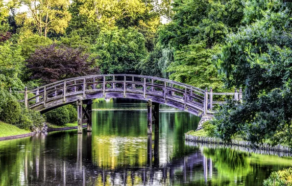 Деревья, мост, пруд, парк, США, Missouri Botanical Garden