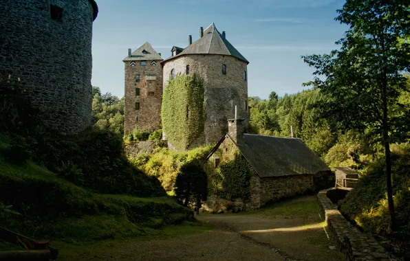 Картинка зелень, лес, деревья, замок, Бельгия, солнечно, Castle Reinhardstein