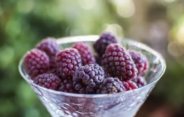 Ягоды, малина, еда