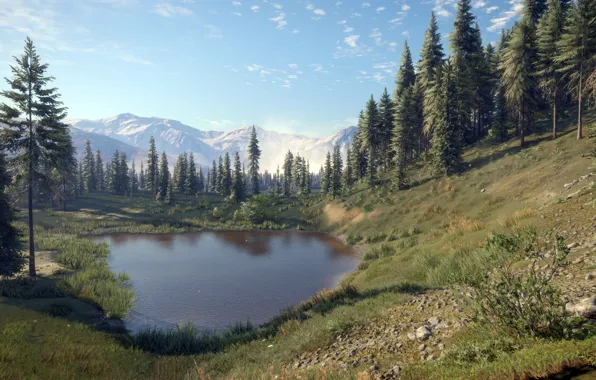 Картинка game, Expansive Worlds, thehunter call of the wild