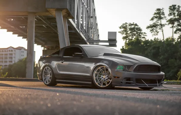 Картинка Mustang, Ford, Bridge, GT, ACE Driven