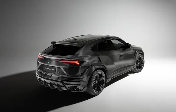 Lamborghini, внедорожник, SUV, Urus, Урус, Carbon Edition, 2024, Lamborghini Urus R'Evo