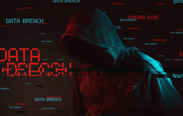 Анонимус, Хакер, Худи, Утечка данных, Data breach