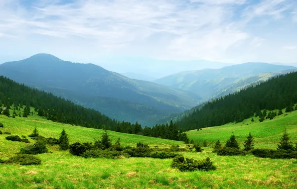 Картинка зелень, трава, деревья, горы, природа, холмы