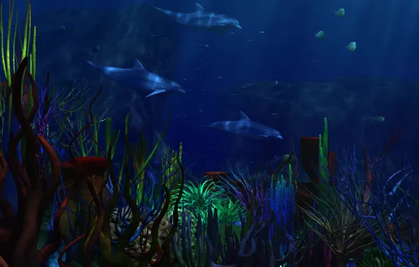 Море, водоросли, дельфины, подводный мир, кораллы. тёмно-синий фонсиний фон