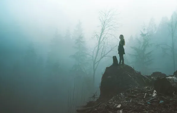Картинка лес, девушка, туман, собака
