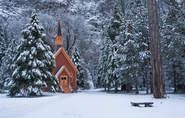 Картинка зима, лес, снег, деревья, ели, Калифорния, Йосемити, часовня
