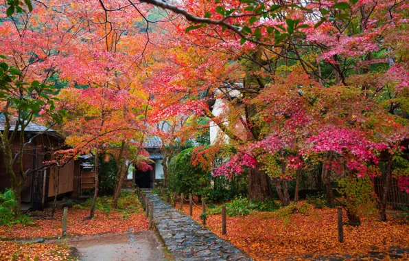 Осень, листья, деревья, дом, Япония, сад, дорожка