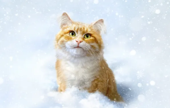 Зима, Кошка, Снег, Кот, Стиль, Морда, Арт, Art