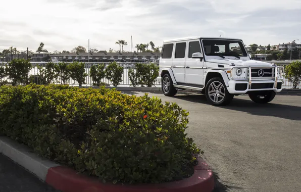 Картинка Mercedes, AMG, White, G63