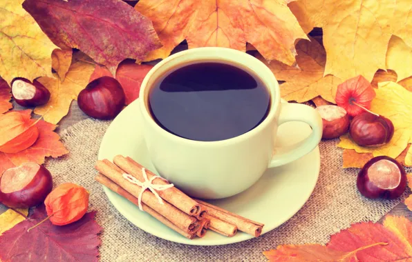 Картинка осень, листья, кофе, чашка, желуди, autumn, leaves, book