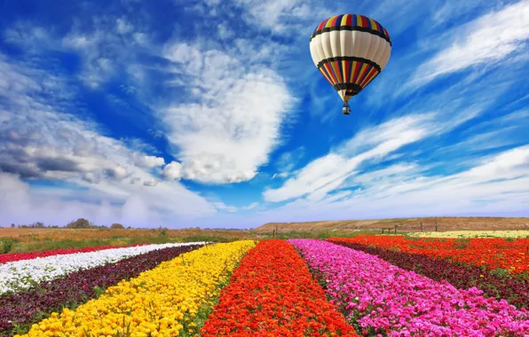 Картинка поле, небо, облака, цветы, природа, воздушный шар