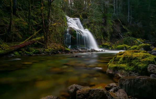 Лес, река, камни, водопад, мох, каскад, Gifford Pinchot National Forest, Washington State