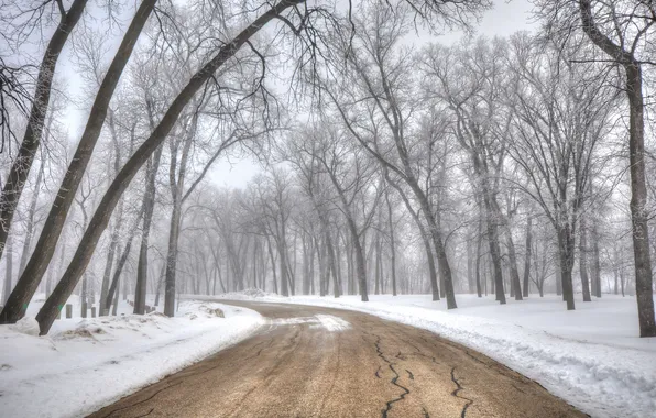 Зима, дорога, пейзаж