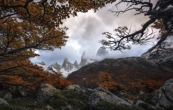 Картинка деревья, горы, ветки, природа, камни, Осень, Южная Америка