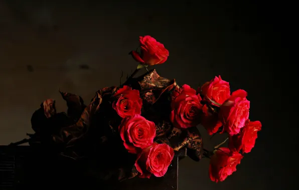 Цветы, темный фон, букет, Розы