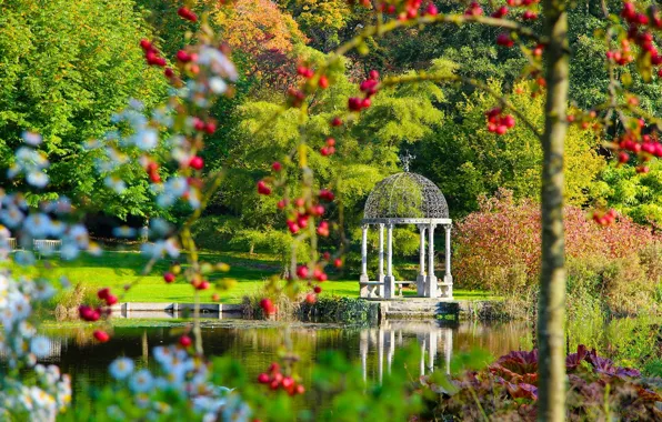 Картинка озеро, парк, Англия, беседка, England, Dorset, Дорсет, сады Спрингхэд