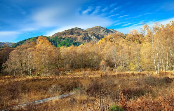 Пейзаж, горы, природа