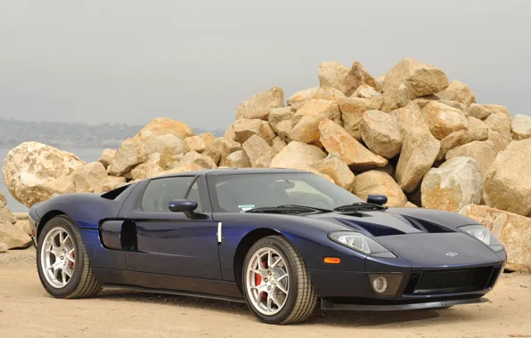 Картинка Ford, beach, stones, '2004, gt