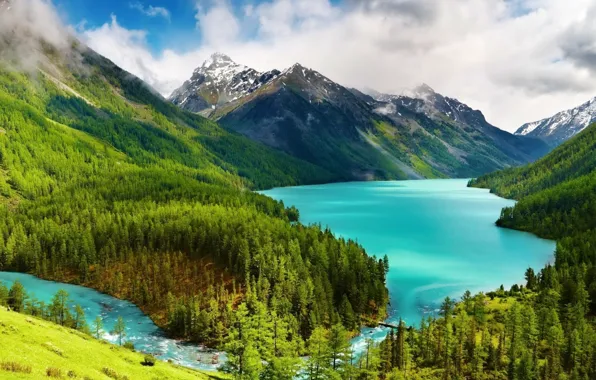 Картинка лес, горы, Россия, Горный Алтай, Кучерлинское озеро