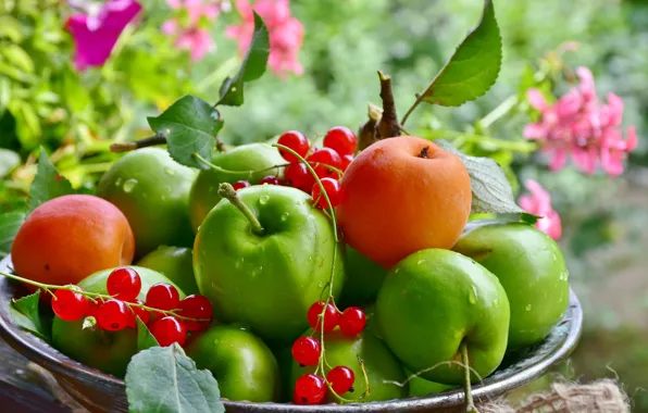 Картинка яблоки, тарелка, фрукты, смородина, абрикосы