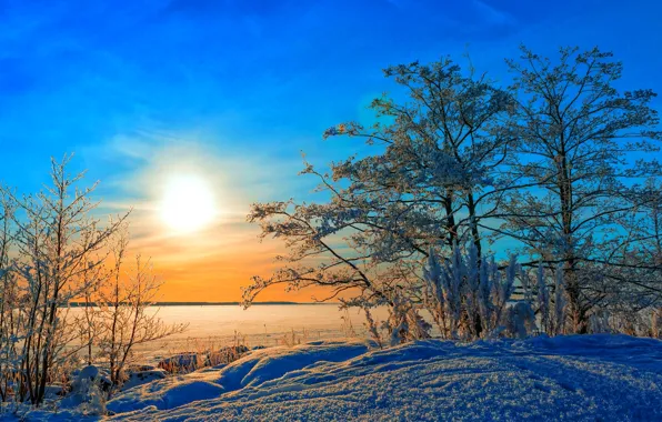 Картинка небо, солнце, облака, снег, деревья, Зима