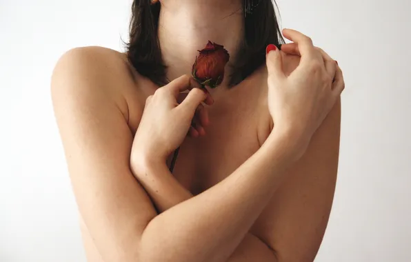 Картинка девушка, фон, роза