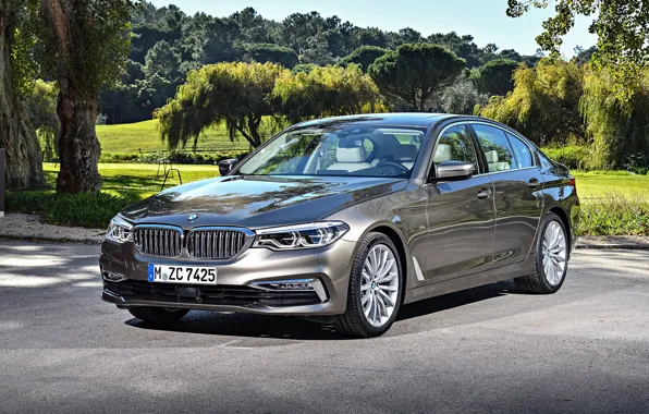 Авто, парк, BMW, Luxury Line, Worldwide, Seda