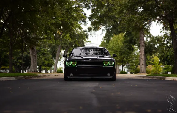 Dodge, Challenger, SRT