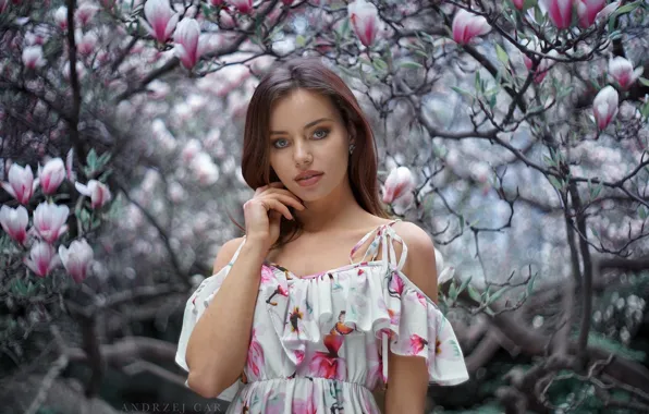 Взгляд, девушка, портрет, сад, красивая, Klaudia, магнолии, Car Andrzej