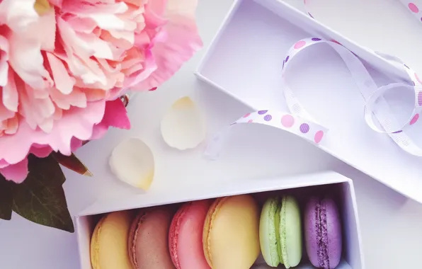 Цветы, коробка, лента, сладкое, macaron