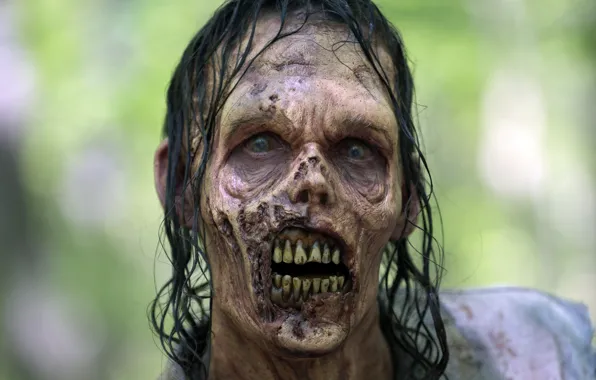 Zombie, teeth, The walking dead