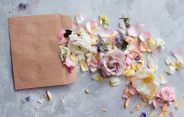 Цветы, бумага, flowers, конверт, карточка, Backgrounds