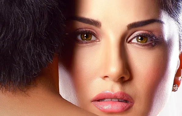 Картинка взгляд, лицо, модель, брюнетка, Sunny Leone