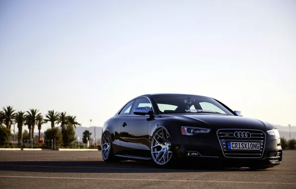 Audi, ауди, black, frontside
