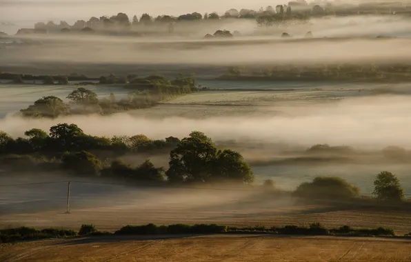 Картинка поле, деревья, туман, холмы, утро