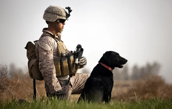 Картинка оружие, собака, солдат