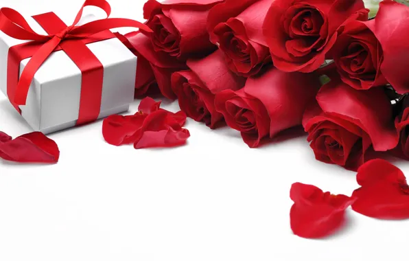 Картинка цветы, розы, valentine's day, красные розы