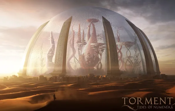Desert, man, tides of numenera, torment
