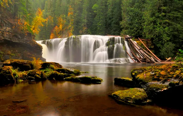 Картинка осень, лес, деревья, камни, водопад, мох, Вашингтон, США