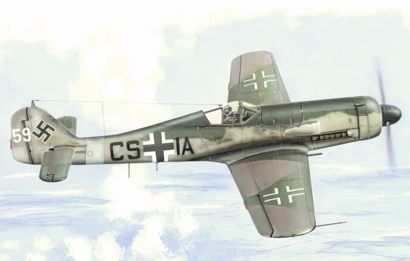 Fighter, war, art, painting, aviation, ww2, Fuck Wulf FW 190-D9