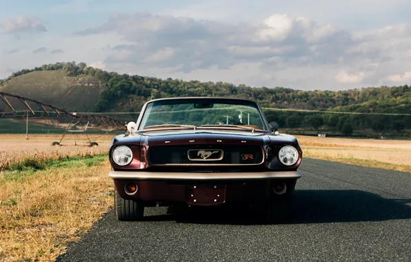 Картинка Mustang, Ford, front, Ringbrothers, 1965 Ford Mustang Convertible, Ford Mustang Uncaged