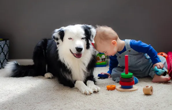 Картинка настроение, собака, малчик