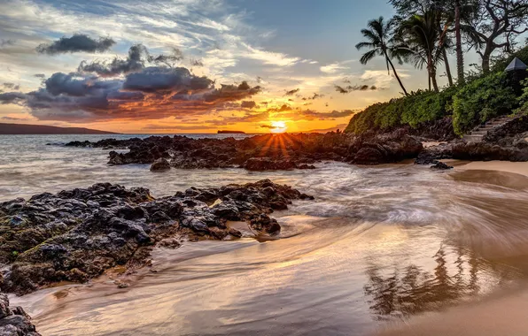 Картинка пляж, закат, природа, пальмы, океан